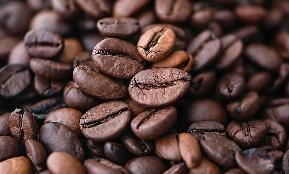 焙煎を終えたばかりのコーヒー豆